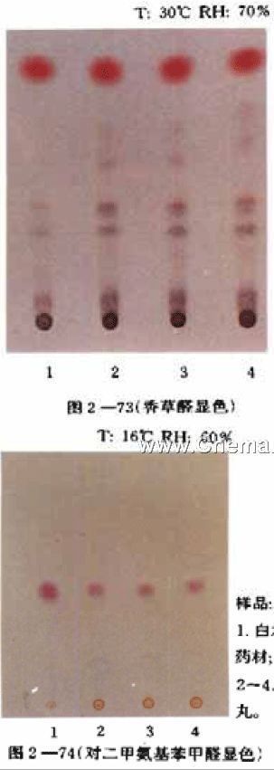 枳术丸-白术的薄层鉴别