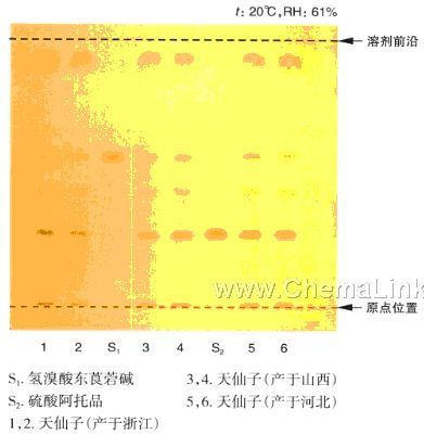 天仙子-不同薄层版薄层色谱图的比较(1)