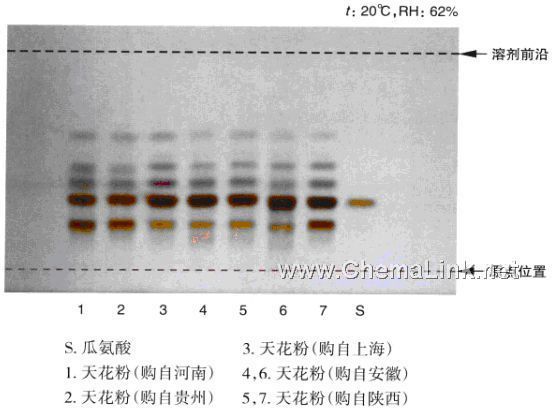 天花粉-不同薄层版薄层色谱图的比较(1)