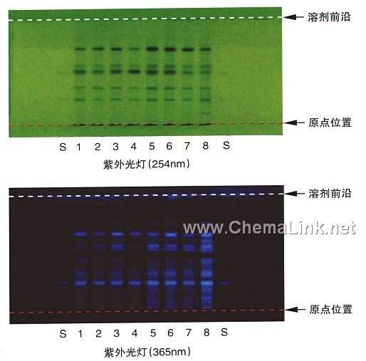 草豆蔻-不同薄层板薄层色谱图的比较(4)