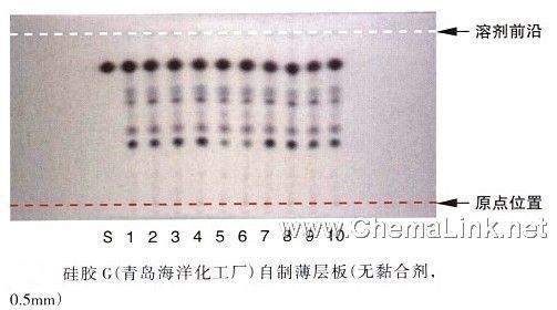 简谱草果_草果图片