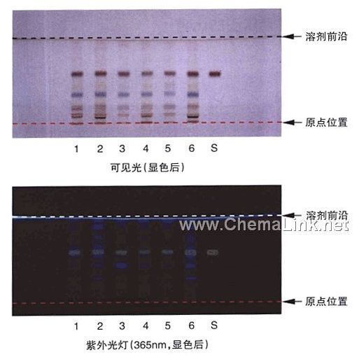 栀子-不同薄层板薄层色谱图的比较(4)