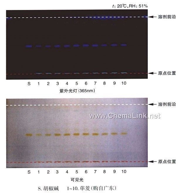 荜茇-不同薄层板薄层色谱图的比较(1)