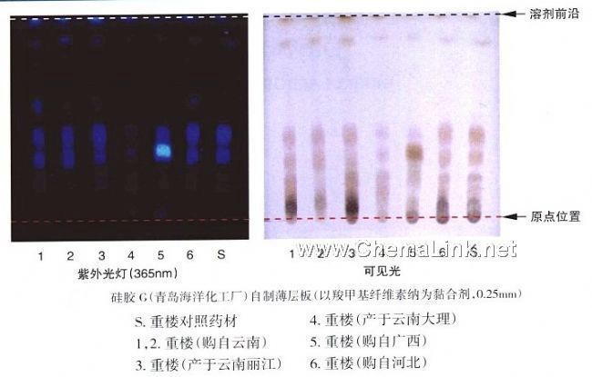 重楼-不同薄层板薄层色谱图的比较(6)