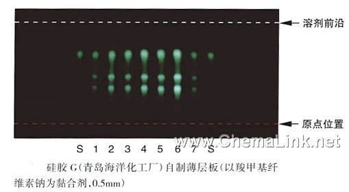 首乌藤-不同薄层板薄层色谱图的比较(4)