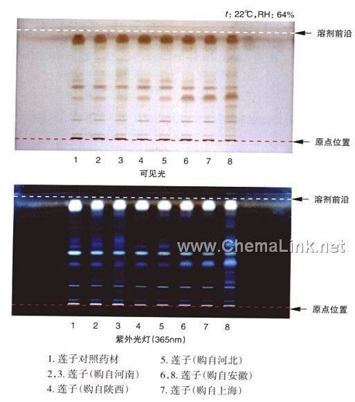莲子-不同薄层板薄层色谱图的比较(1)