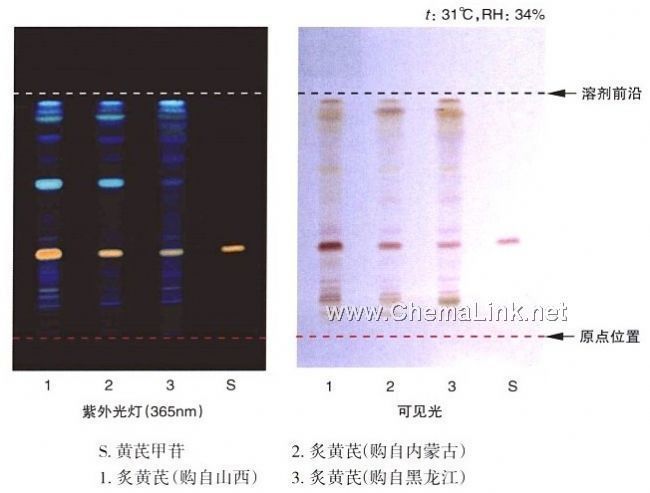 炙黄芪-不同薄层板薄层色谱图的比较(1) - 色谱图