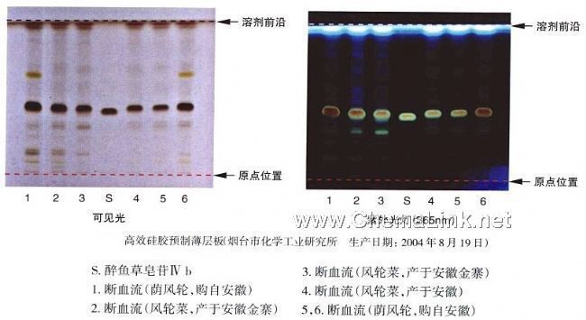 断血流-不同薄层板薄层色谱图的比较(5)