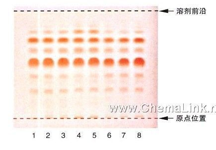 绵马贯众-不同薄层板薄层色谱图的比较(2)
