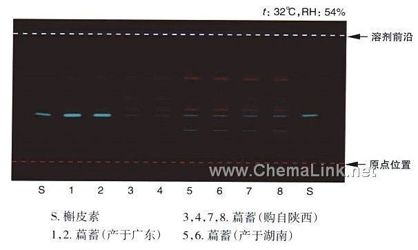 扁蓄-不同薄层板薄层色谱图的比较(1)