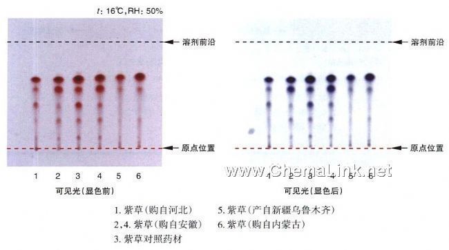 紫草-不同薄层板薄层色谱图的比较(1)