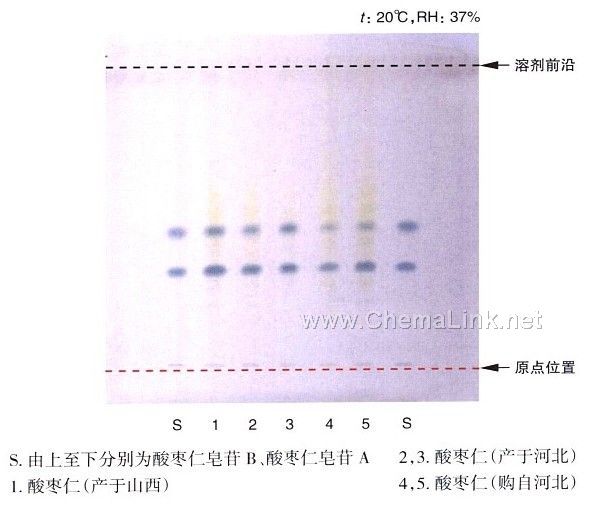 酸枣仁-不同薄层板薄层色谱图的比较(1) - 色谱图   