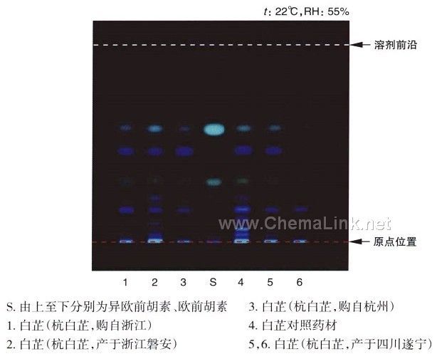 白芷-不同薄层板薄层色谱图的比较(1)