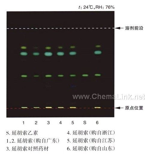 延胡索-不同薄层板薄层色谱图的比较(1)