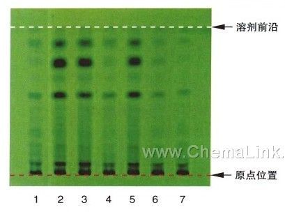 麦冬-不同薄层板薄层色谱图的比较(3)