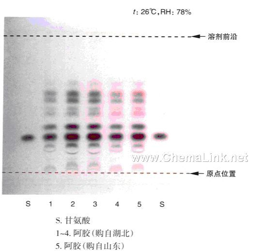阿胶-不同薄层板薄层色谱图的比较(1)