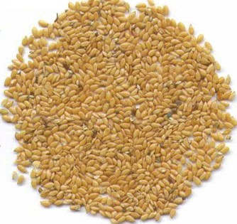 亚麻子 - 色谱世界