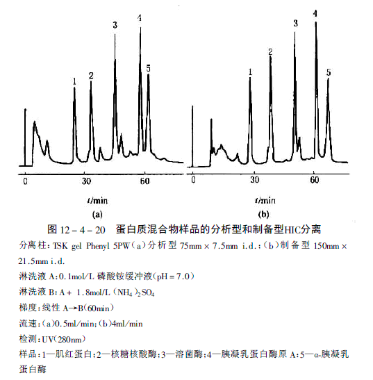 有机高分子类型的疏水性相互作用色谱填料