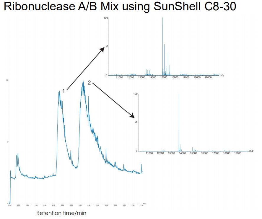 核糖核酸酶A/B分离（SunShell C8-30）