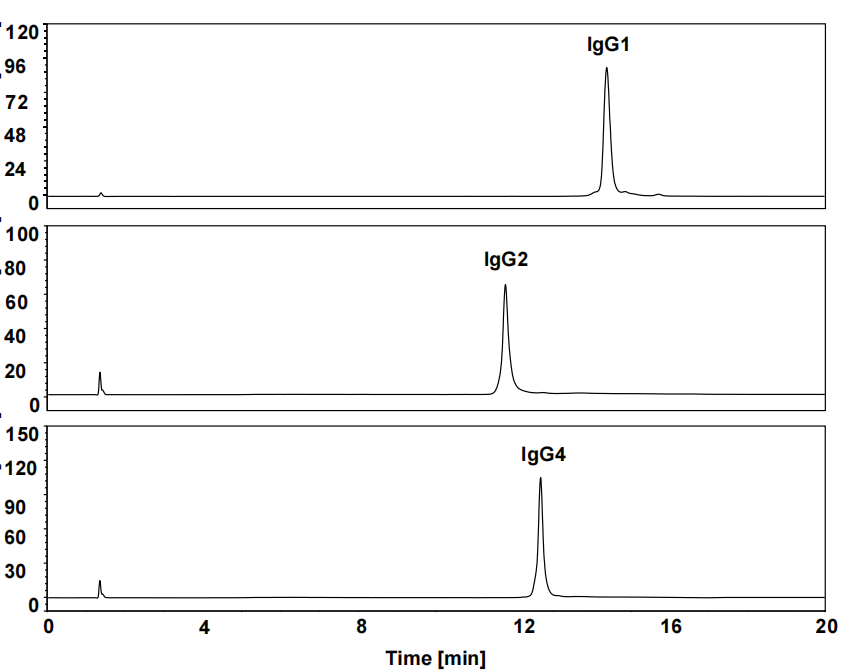 IgG1,IgG2 和 IgG4在BioCore HIC-Butyl色谱柱上的分离（疏水作用）