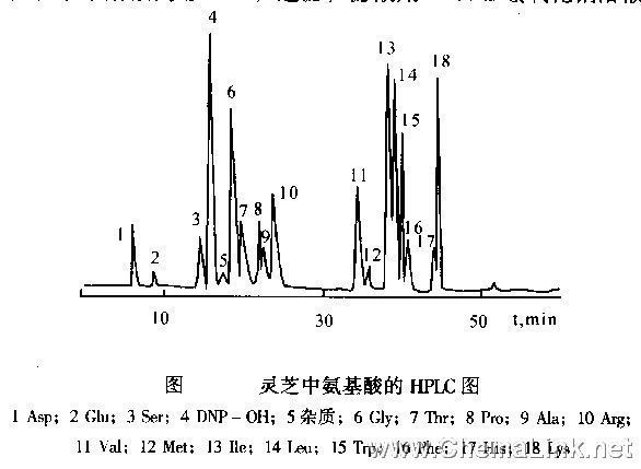 灵芝中氨基酸的含量测定 - 色谱图
