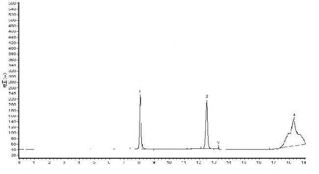 汽油中苯和甲苯测定 - 色谱图
