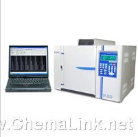SP-2020气相色谱仪