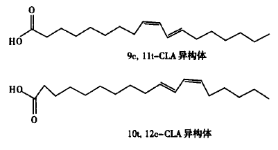 亚油酸结构式简式图片