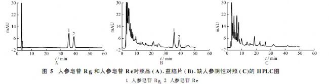 色 谱 峰 人参皂苷