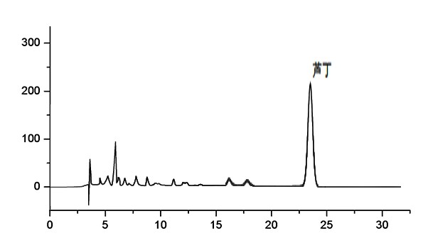 桑叶中芦丁含量分析